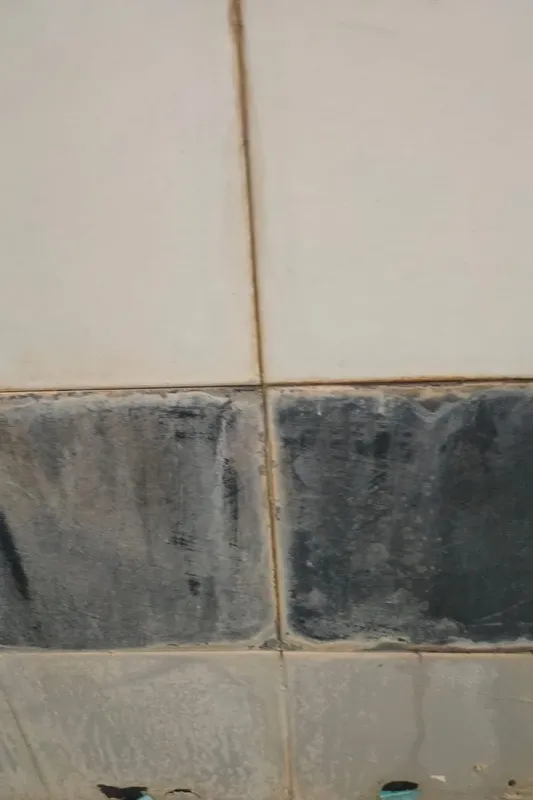 Imágenes recibidas sobre la posible situación de la zona de aseo del estadio El Tori en Salamanca