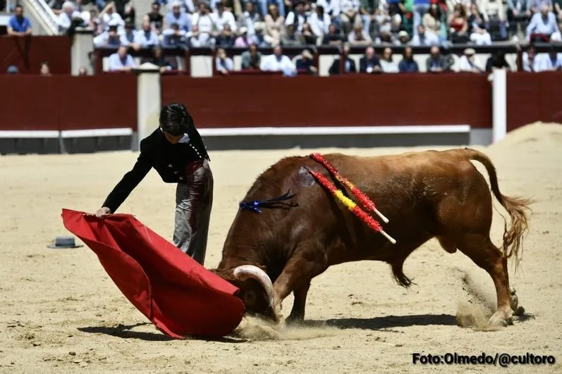 Foto 3 - Triunfo rotundo de Marco P&eacute;rez: 4 orejas y el respeto de Madrid