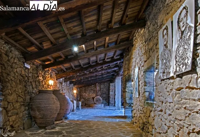 Foto 10 - 'El lagar del Mudo', el Museo del Aceite a una hora de Salamanca que merece la pena conocer 