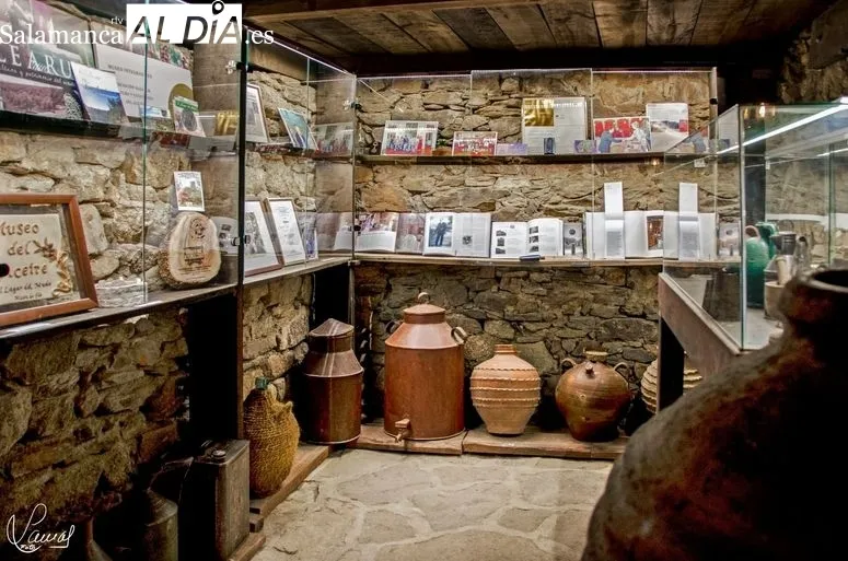Foto 7 - 'El lagar del Mudo', el Museo del Aceite a una hora de Salamanca que merece la pena conocer 