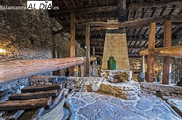 Foto 6 - 'El lagar del Mudo', el Museo del Aceite a una hora de Salamanca que merece la pena conocer 