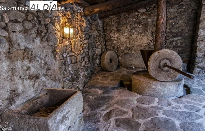 Foto 4 - 'El lagar del Mudo', el Museo del Aceite a una hora de Salamanca que merece la pena conocer 