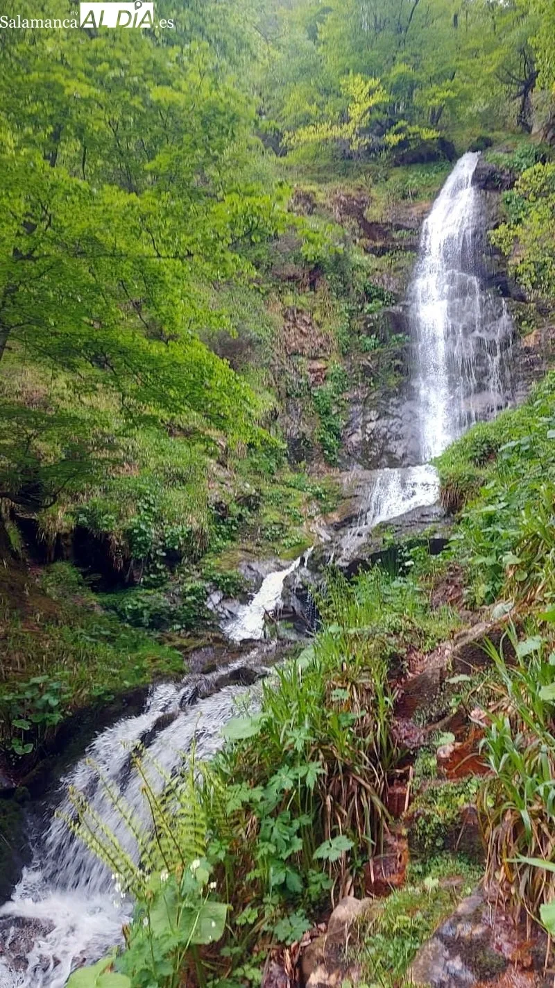 Grupo de senderistas que han participado en las rutas por Asturias