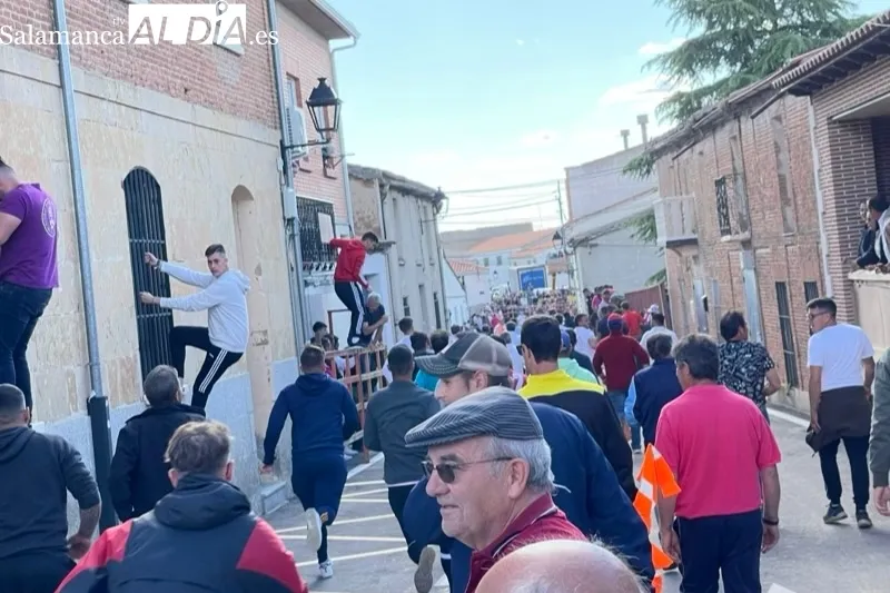 Cantalpino vivía este sábado el Toro de San Isidro
