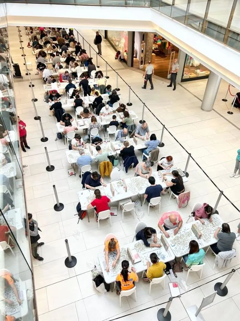 Imágenes de la jornada de tarde de la categoría absoluta del 2º Concurso de Puzzles Toy Planet Salamanca en el Centro Comercial El Tormes