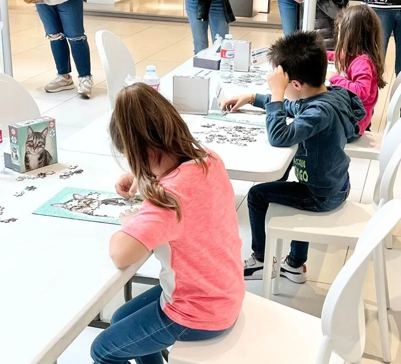 Foto 6 - El Tormes acoge la segunda edici&oacute;n del Concurso de Puzzles 