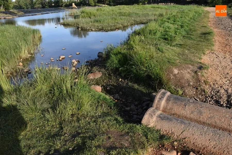 Foto 2 - Notabil&iacute;simo baj&oacute;n del caudal del &Aacute;gueda al reducirse el ritmo de desembalse en Irue&ntilde;a
