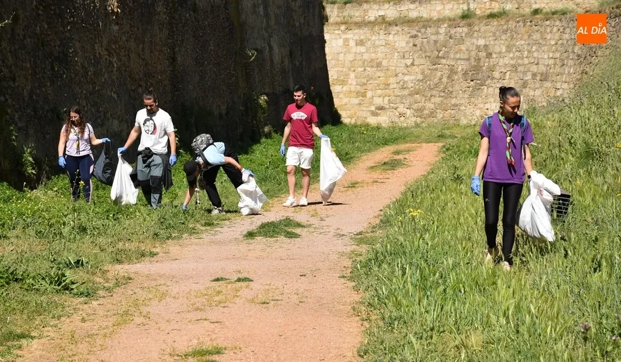 Foto 4 - El Grupo Scout Kennedy limpia el adarve de la muralla y los fosos