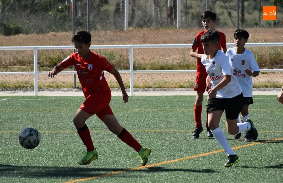 Foto 2 - El Alev&iacute;n A del Ciudad Rodrigo cede ante el Santa Marta C en el remate del Puente