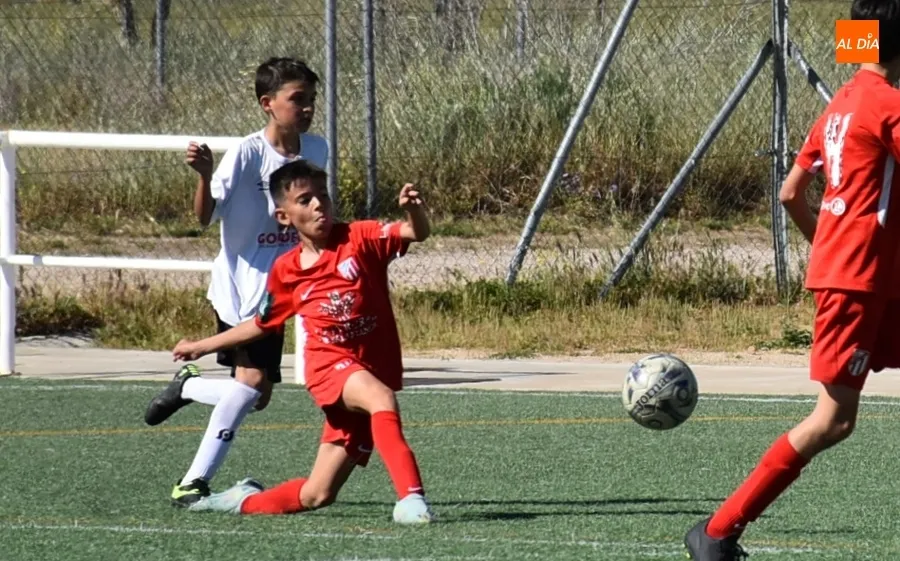 Foto 8 - El Alev&iacute;n A del Ciudad Rodrigo cede ante el Santa Marta C en el remate del Puente