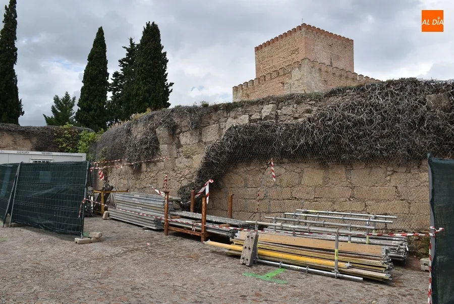 Foto 4 - Comienza la retirada por motivos de seguridad de toda la hiedra del Parador