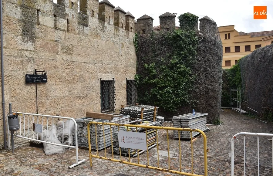 Foto 5 - Comienza la retirada por motivos de seguridad de toda la hiedra del Parador