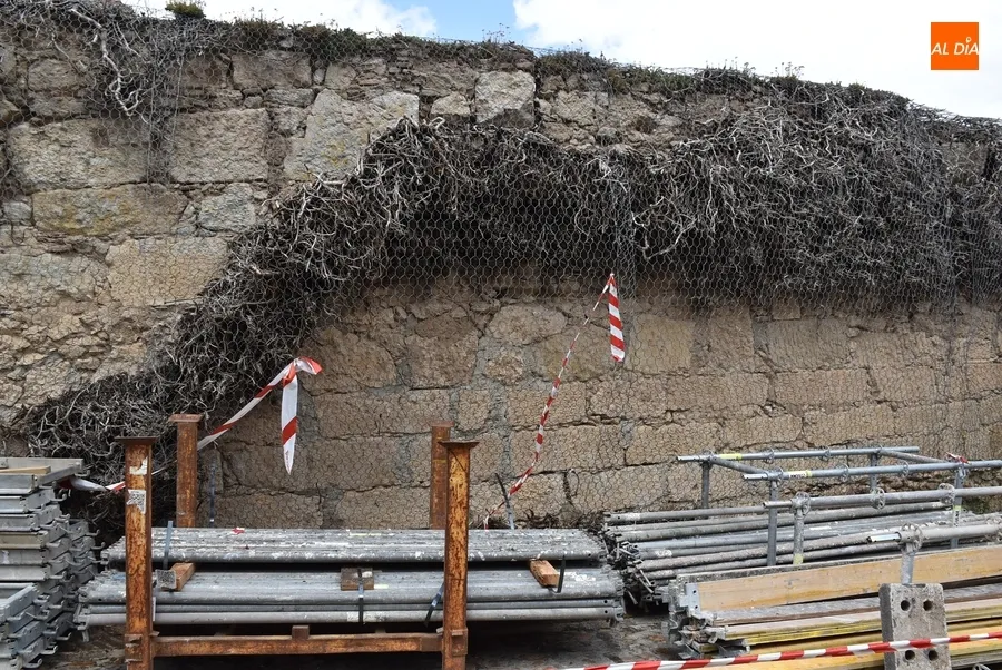 Foto 6 - Comienza la retirada por motivos de seguridad de toda la hiedra del Parador