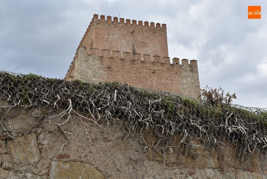 Foto 9 - Comienza la retirada por motivos de seguridad de toda la hiedra del Parador
