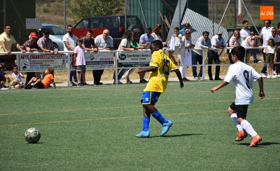 Foto 6 - Los benjamines del Ciudad Rodrigo festejan por todo lo alto, con chapuz&oacute;n incluido, sus t&iacute;tulos ligueros