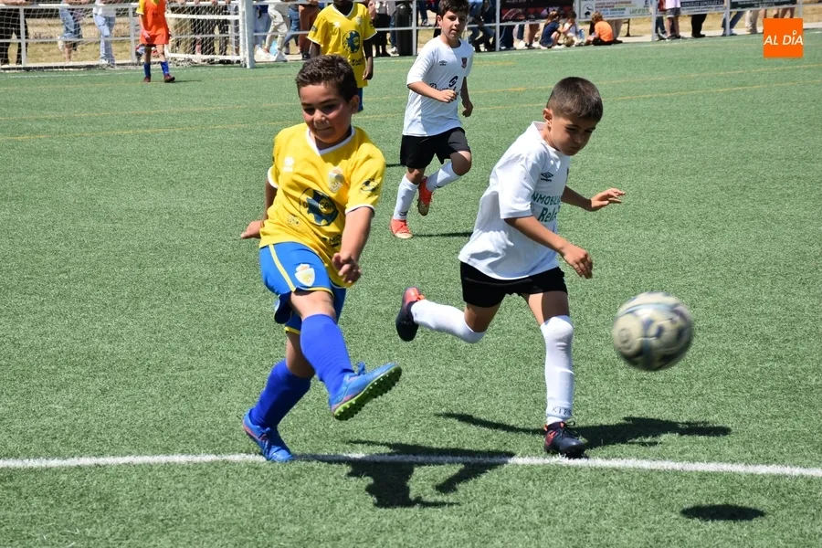 Foto 7 - Los benjamines del Ciudad Rodrigo festejan por todo lo alto, con chapuz&oacute;n incluido, sus t&iacute;tulos ligueros