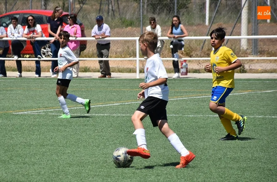 Foto 8 - Los benjamines del Ciudad Rodrigo festejan por todo lo alto, con chapuz&oacute;n incluido, sus t&iacute;tulos ligueros