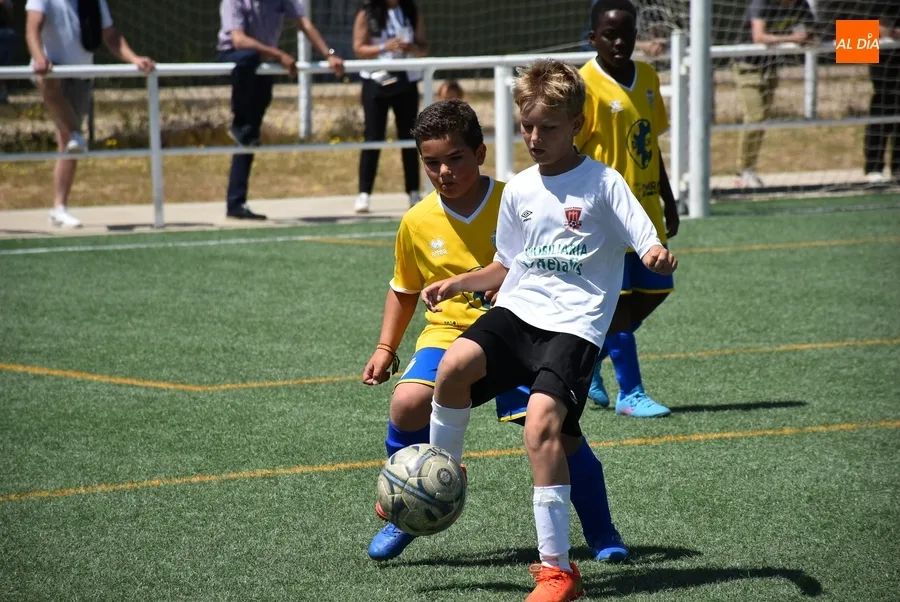 Foto 9 - Los benjamines del Ciudad Rodrigo festejan por todo lo alto, con chapuz&oacute;n incluido, sus t&iacute;tulos ligueros