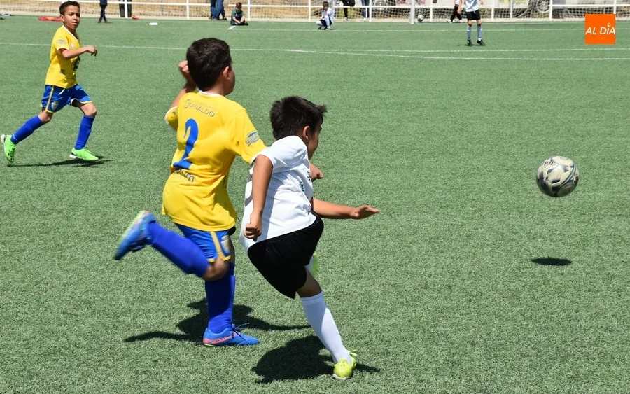 Foto 10 - Los benjamines del Ciudad Rodrigo festejan por todo lo alto, con chapuz&oacute;n incluido, sus t&iacute;tulos ligueros