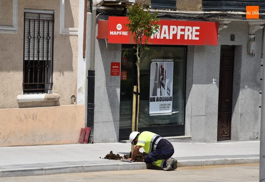 Foto 8 - La colocaci&oacute;n de la se&ntilde;alizaci&oacute;n vertical provoca un nuevo corte de la Avenida de Espa&ntilde;a