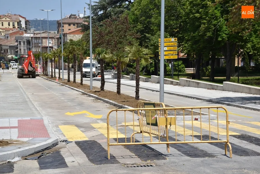 Foto 6 - El tramo superior de la Avenida de Espa&ntilde;a da la bienvenida a sus palmeras