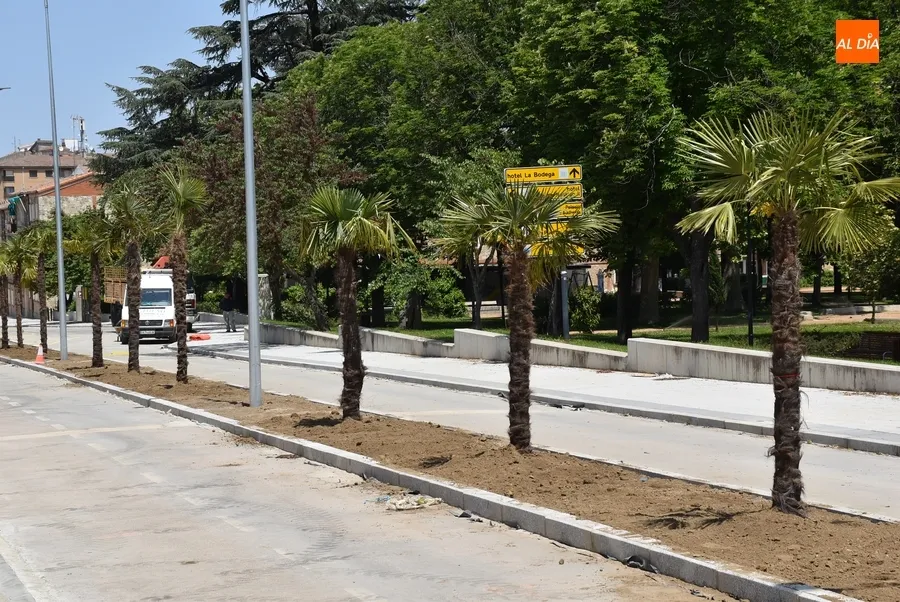 Foto 4 - El tramo superior de la Avenida de Espa&ntilde;a da la bienvenida a sus palmeras