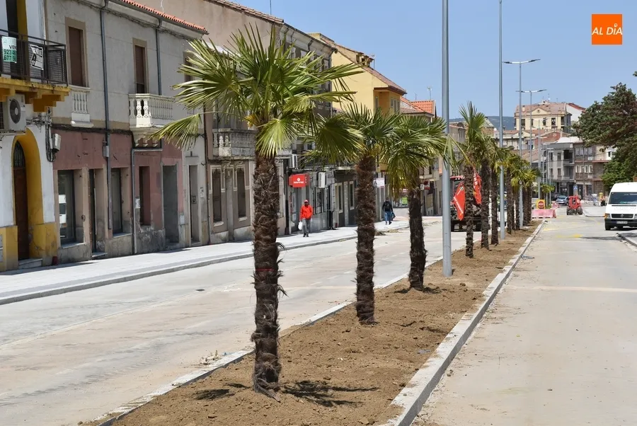Foto 3 - El tramo superior de la Avenida de Espa&ntilde;a da la bienvenida a sus palmeras