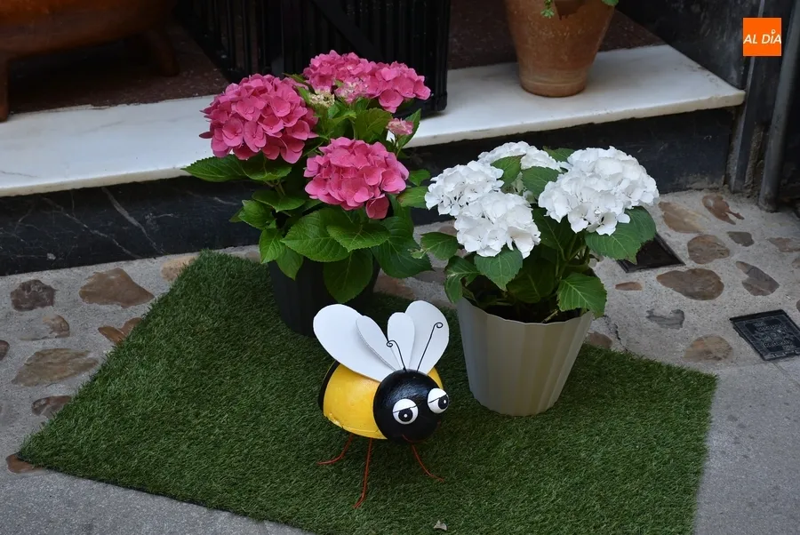 Foto 4 - El jurado recorre las zonas participantes en el Concurso Floral, que ya han sufrido robos de elementos