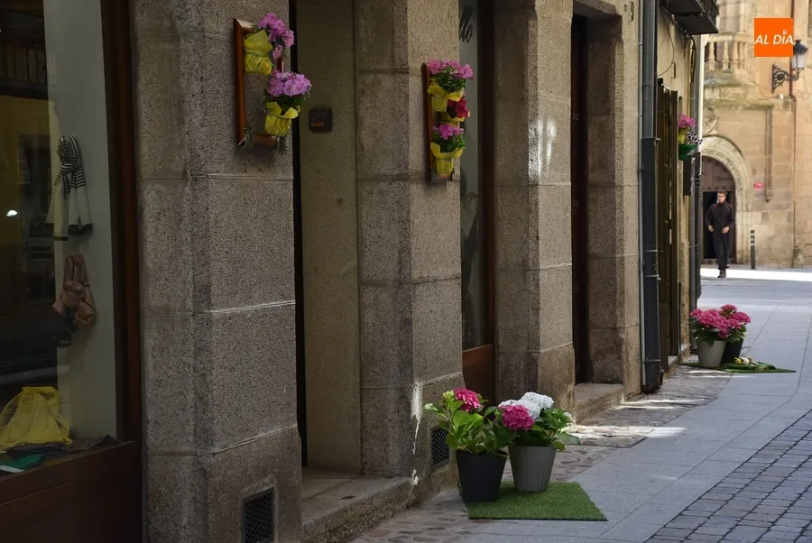 Foto 9 - El jurado recorre las zonas participantes en el Concurso Floral, que ya han sufrido robos de elementos