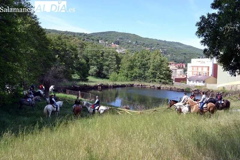 Foto 9 - Los caballistas recorren B&eacute;jar siendo el foco de todas las miradas