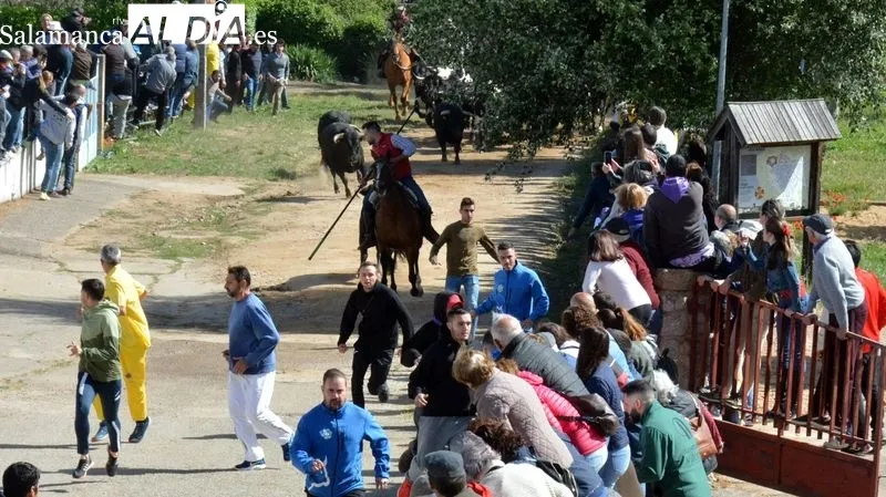 Foto 11 - Emoci&oacute;n en el primer encierro a caballo de El Noveno de San Felices de los Gallegos