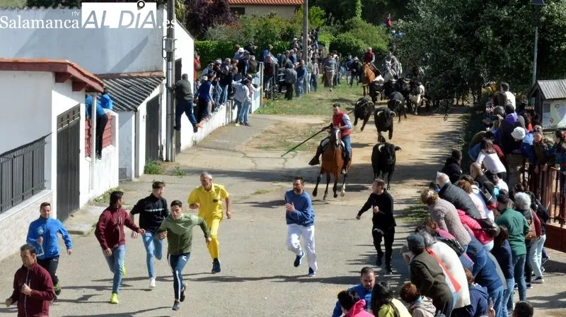 Foto 10 - Emoci&oacute;n en el primer encierro a caballo de El Noveno de San Felices de los Gallegos