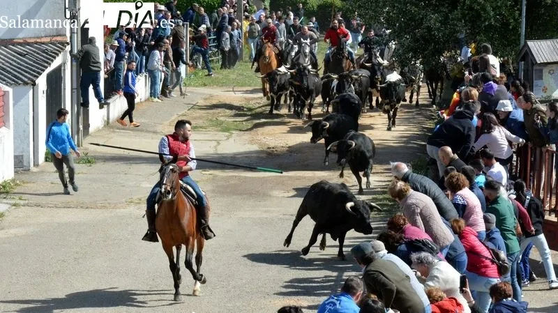 Foto 9 - Emoci&oacute;n en el primer encierro a caballo de El Noveno de San Felices de los Gallegos