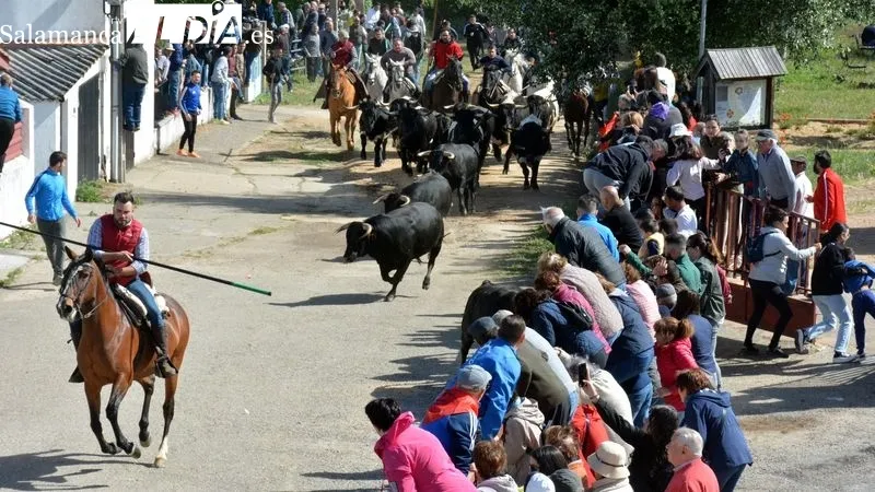 Foto 8 - Emoci&oacute;n en el primer encierro a caballo de El Noveno de San Felices de los Gallegos