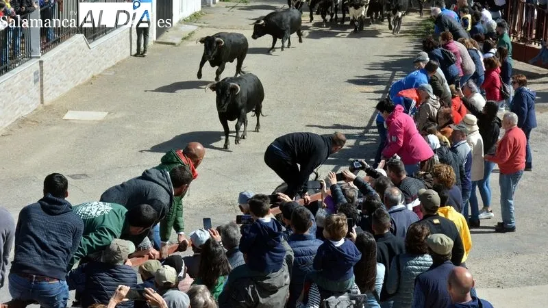 Foto 6 - Emoci&oacute;n en el primer encierro a caballo de El Noveno de San Felices de los Gallegos