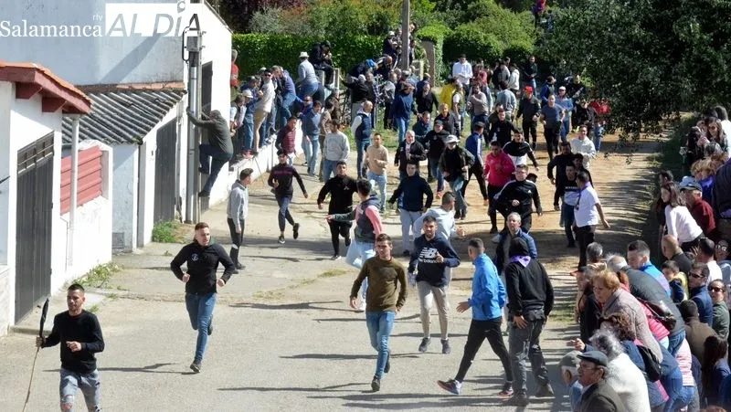 Foto 2 - Emoci&oacute;n en el primer encierro a caballo de El Noveno de San Felices de los Gallegos