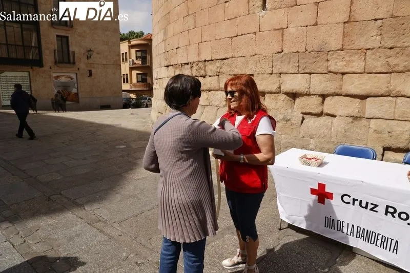 Día de la Banderita organizado por Cruz Roja en Salamanca. Foto de David Sañudo