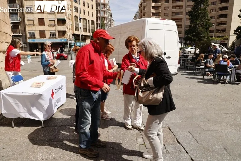 Día de la Banderita organizado por Cruz Roja en Salamanca. Foto de David Sañudo