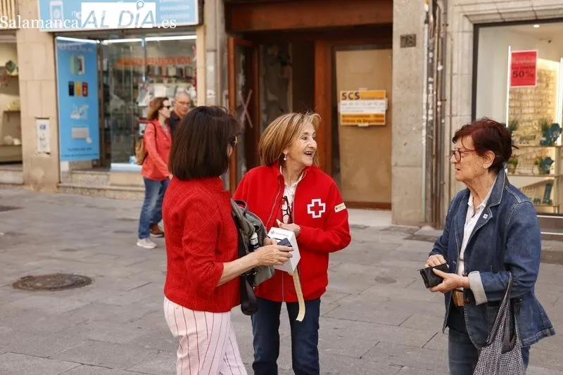 Día de la Banderita organizado por Cruz Roja en Salamanca. Foto de David Sañudo