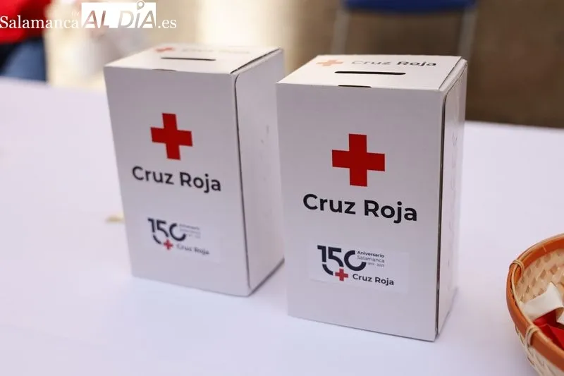 Día de la Banderita organizado por Cruz Roja en Salamanca. Foto de David Sañudo