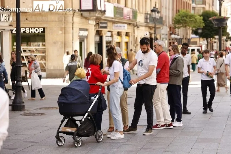 Día de la Banderita organizado por Cruz Roja en Salamanca. Foto de David Sañudo
