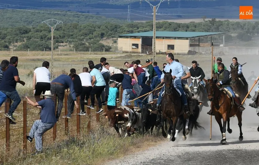 Encierro a caballo Carpio de Azaba/ Fotos: Adrián M.Pastor