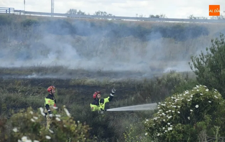 Foto 10 - Registrado un incendio junto a la A-62 a la altura de Sancti-Sp&iacute;ritus