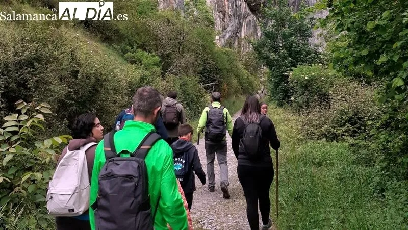 Grupo de senderistas que han participado en las rutas por Asturias