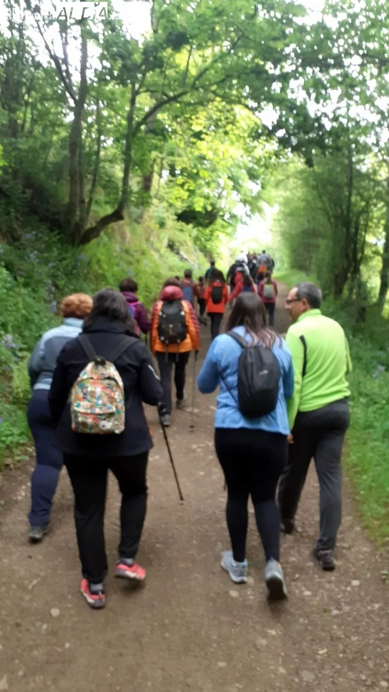 Grupo de senderistas que han participado en las rutas por Asturias