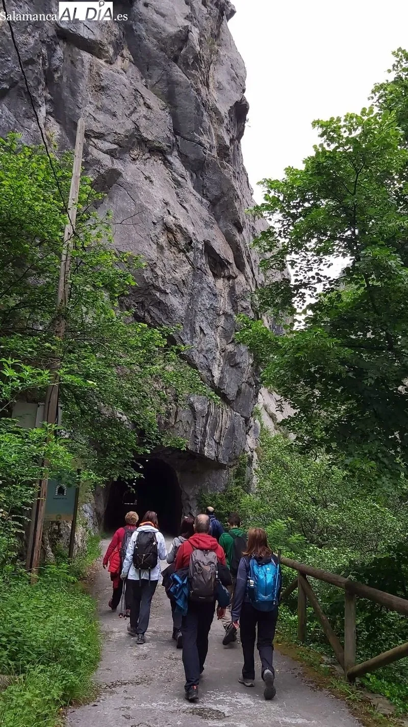 Grupo de senderistas que han participado en las rutas por Asturias