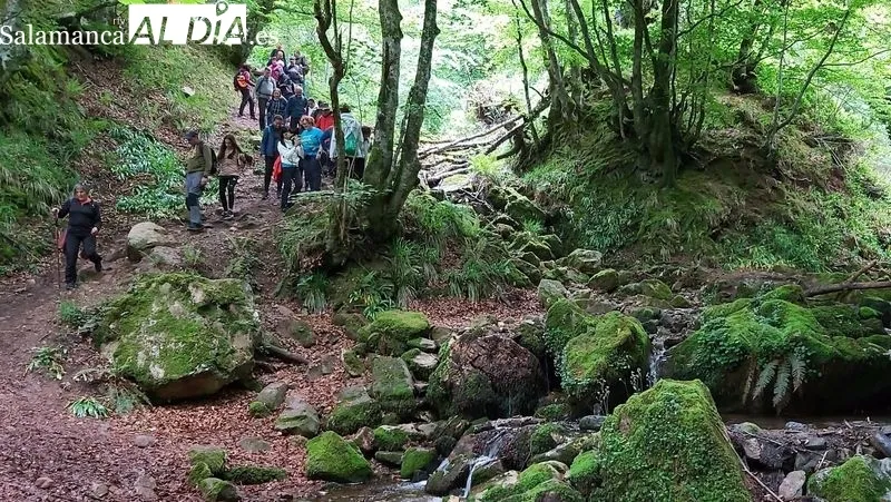 Grupo de senderistas que han participado en las rutas por Asturias