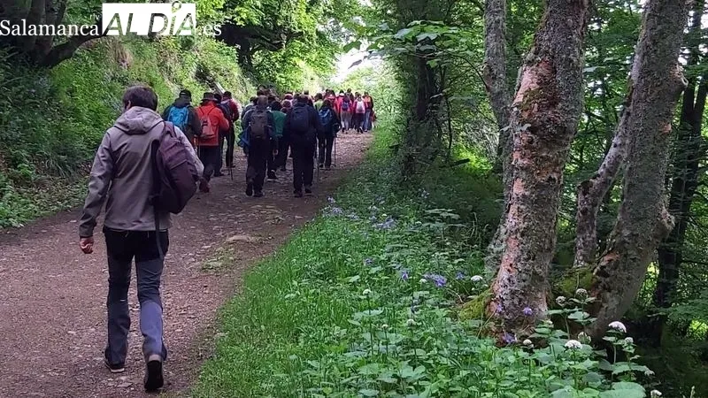 Grupo de senderistas que han participado en las rutas por Asturias