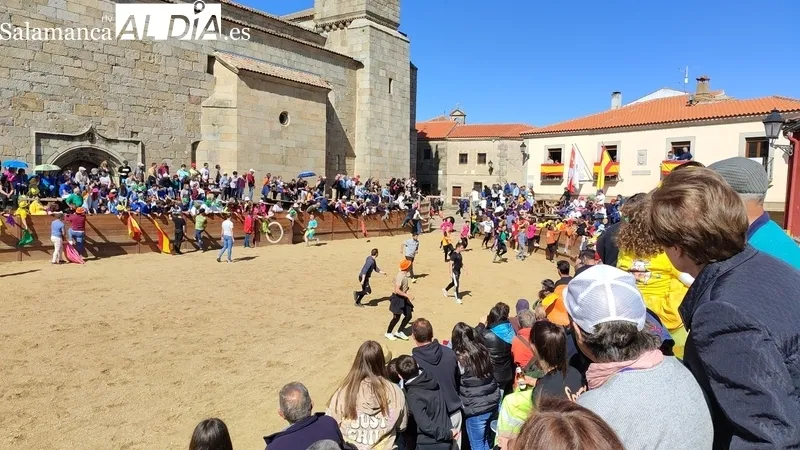 Capea con añojos de Andrés Celestino García para comenzar las fiestas del Noveno / CORRAL
