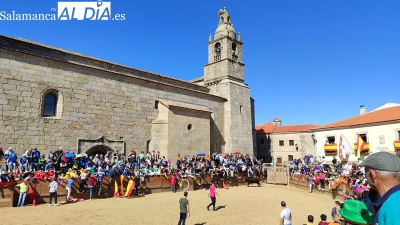 Capea con añojos de Andrés Celestino García para comenzar las fiestas del Noveno / CORRAL